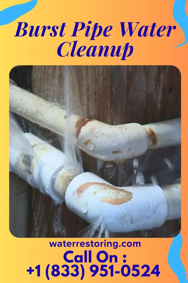 Burst Pipe Water Cleanup in Walla Walla East, WA